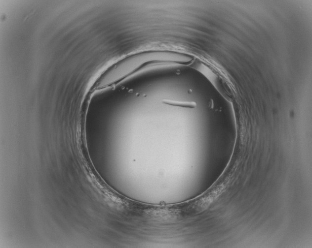 X0000061730896200512091542