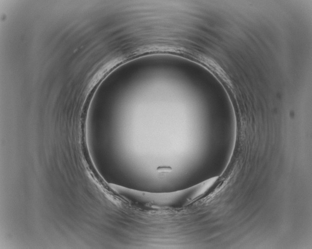 X0000061730898200512091542