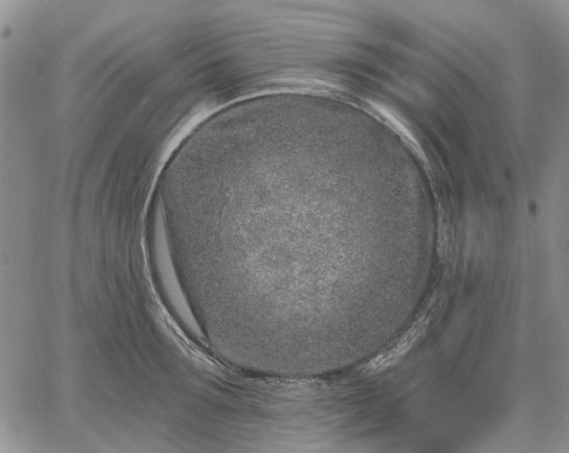 X0000061730899200512091542