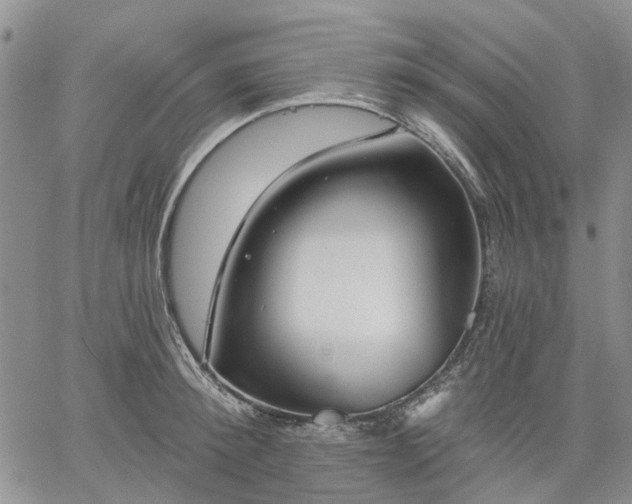 X0000061730900200512091542