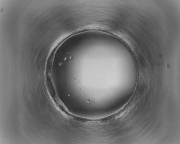 X0000061730902200512091542