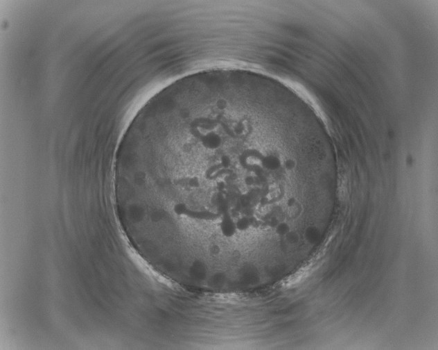 X0000061730903200512091542