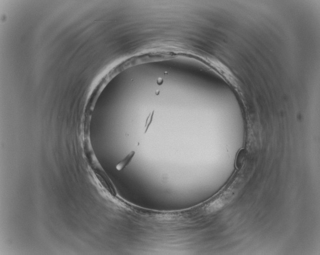 X0000061730904200512091542