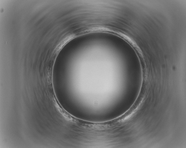 X0000061730905200512091542