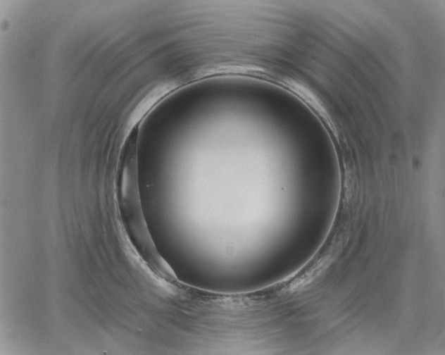 X0000061730906200512091542