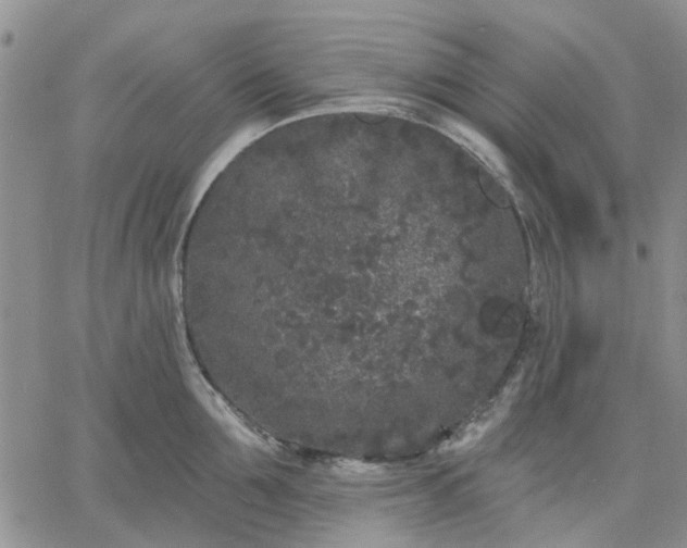 X0000061730907200512091542