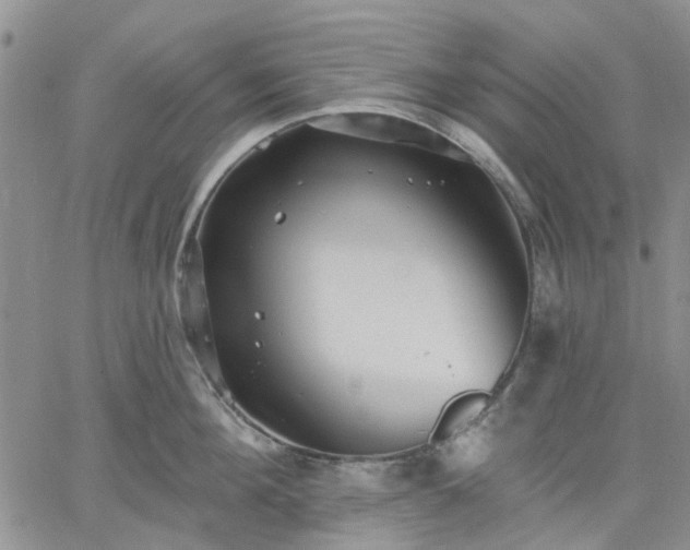 X0000061730908200512091542