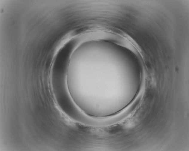 X0000061730909200512091542