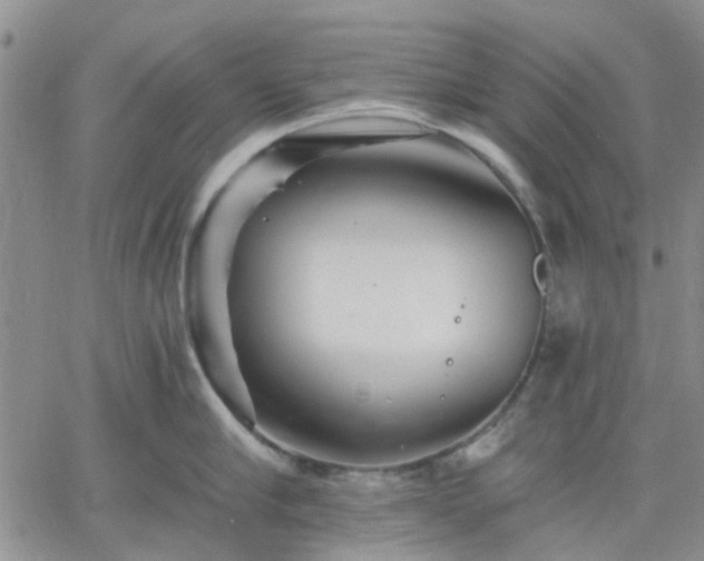 X0000061730910200512091542