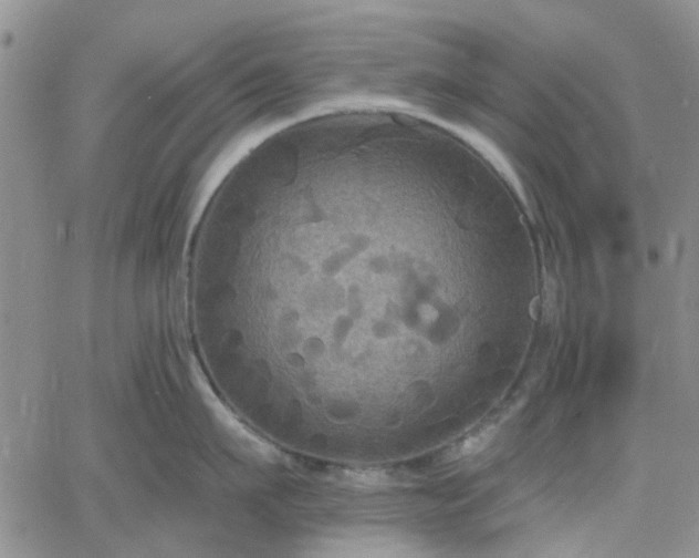 X0000061730911200512091542