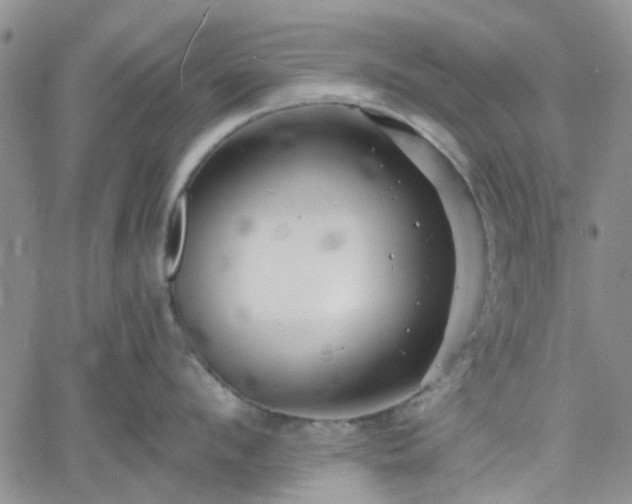 X0000061730912200512091542