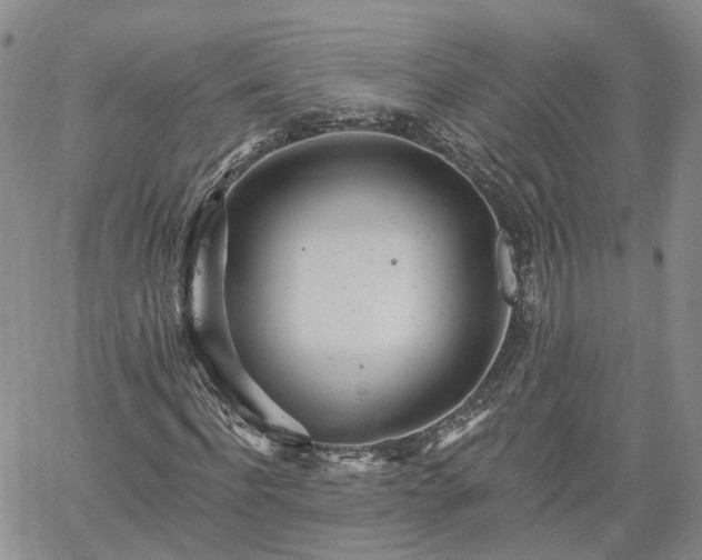 X0000061730916200512091541