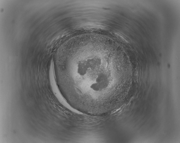 X0000061730917200512091541