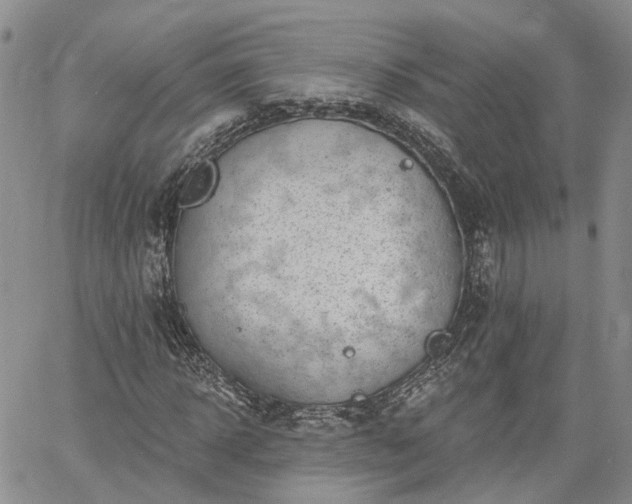 X0000061730918200512091541