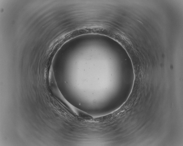 X0000061730920200512091541