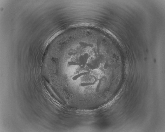 X0000061730921200512091541