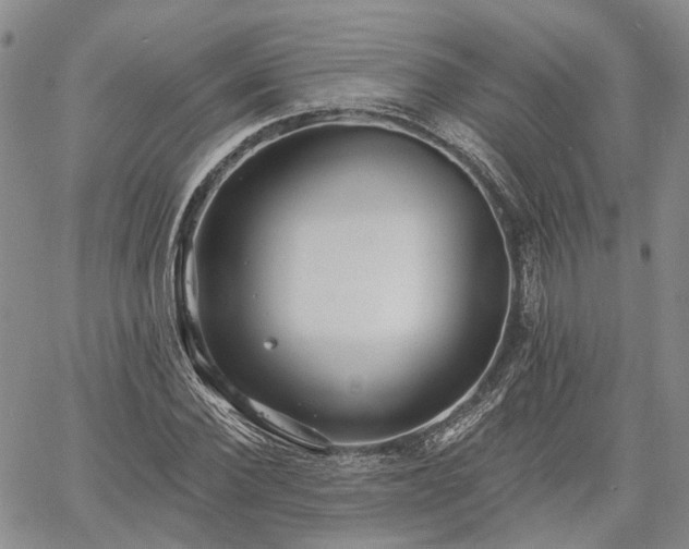 X0000061730924200512091541