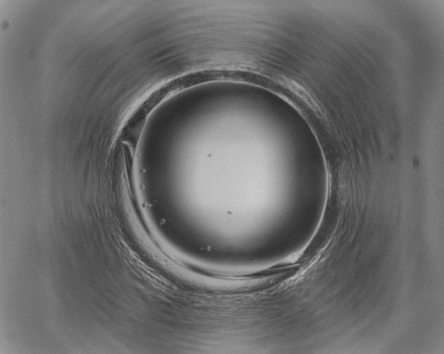 X0000061730926200512091541