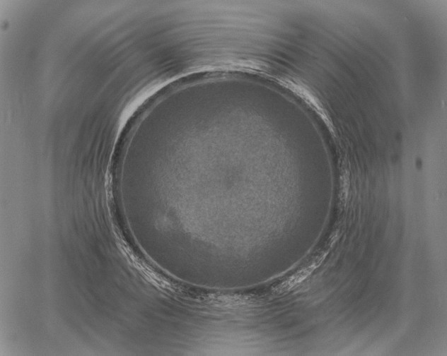 X0000061730928200512091541