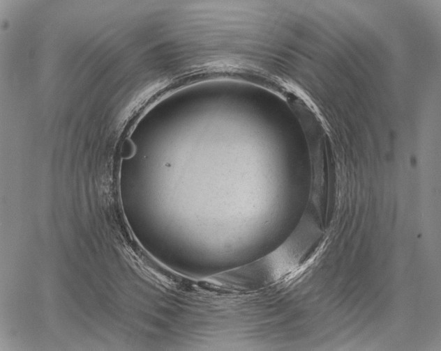 X0000061730930200512091541