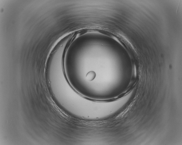 X0000061730932200512091541