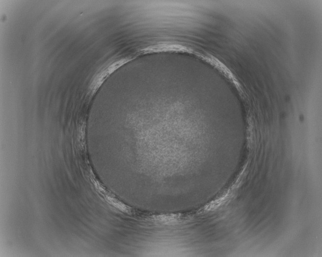 X0000061730937200512091541