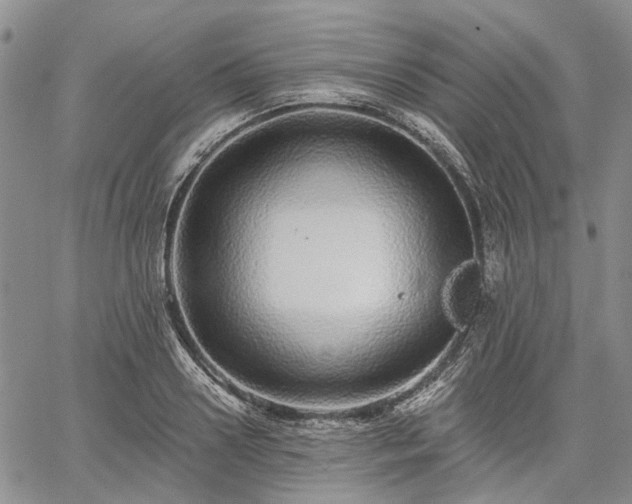 X0000061730938200512091541