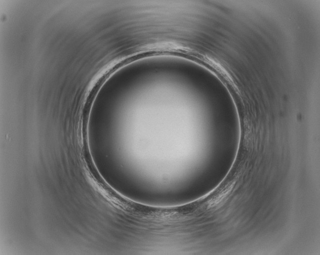 X0000061730939200512091541