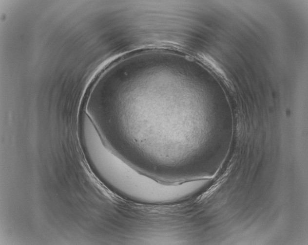 X0000061730940200512091541