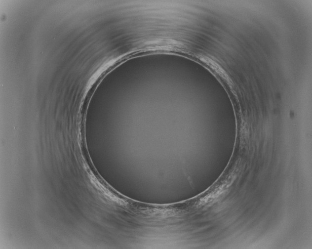 X0000061730941200512091541