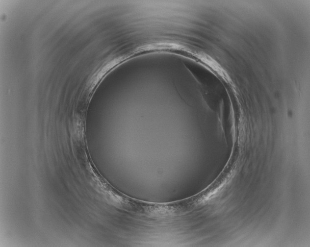 X0000061730945200512091541