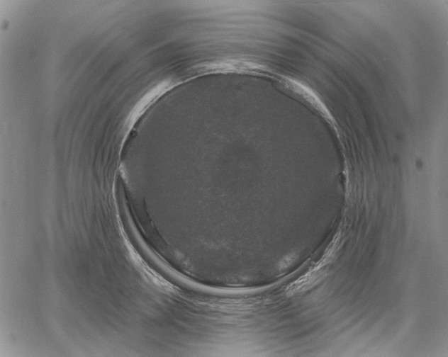 X0000061730946200512091541