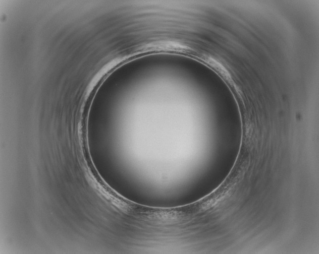 X0000061730947200512091541