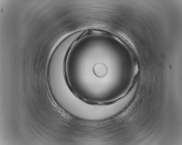 X0000061730948200512091541