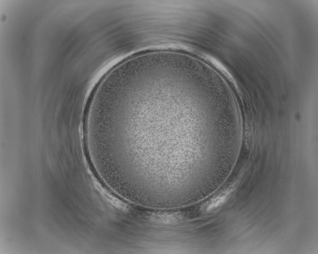 X0000061730951200512091541