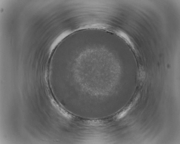 X0000061730952200512091542