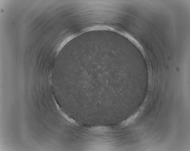 X0000061730953200512091542