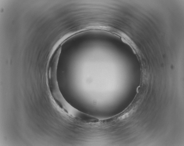 X0000061730955200512091542