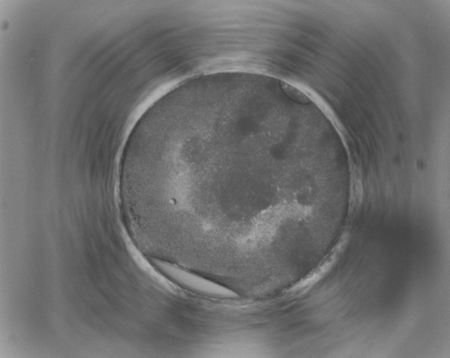 X0000061730957200512091542