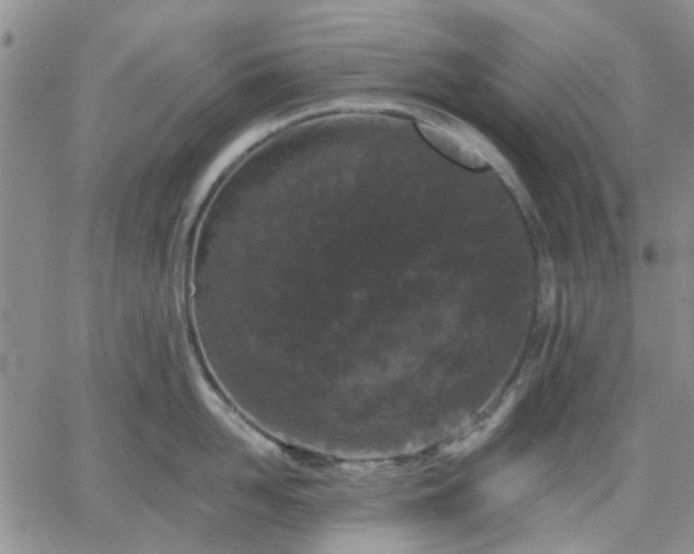 X0000061730958200512091542