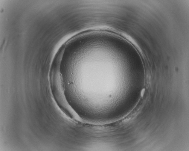 X0000061730959200512091542