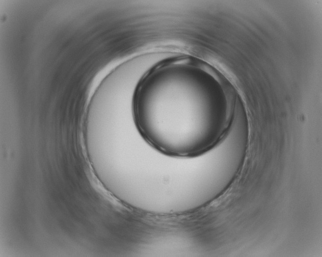 X0000061730960200512091542