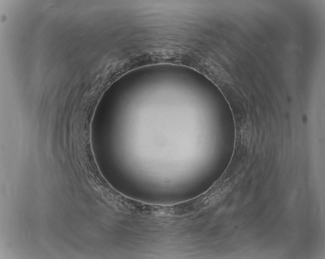 X0000061730961200512091541