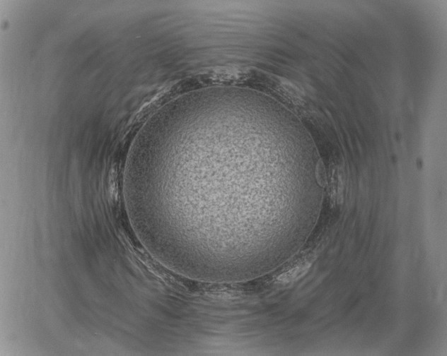 X0000061730962200512091541