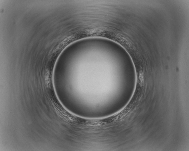 X0000061730963200512091541