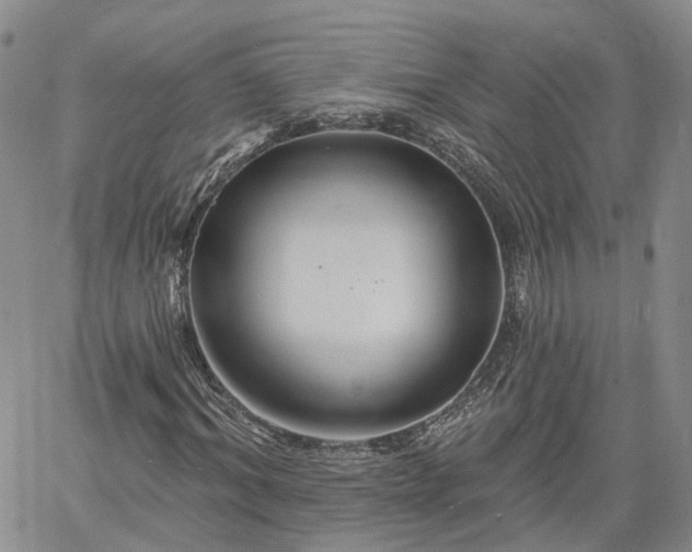 X0000061730964200512091541