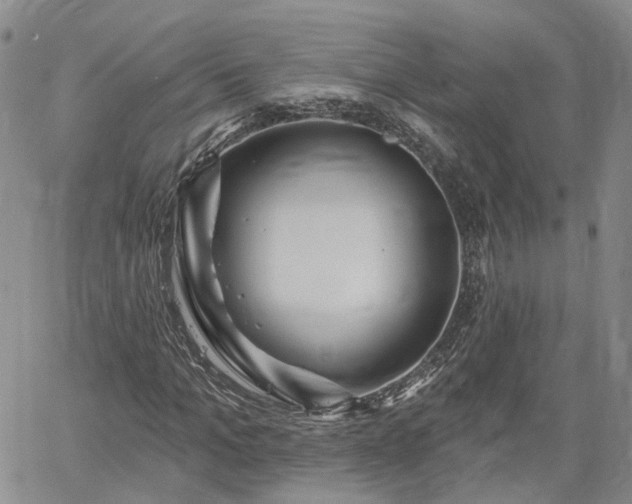 X0000061730965200512091541