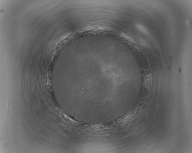 X0000061730966200512091541