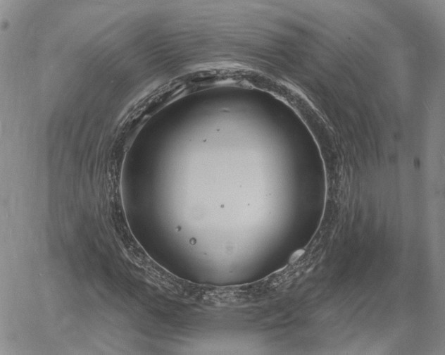 X0000061730967200512091541