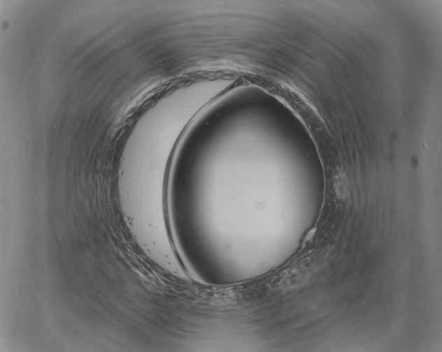 X0000061730968200512091541